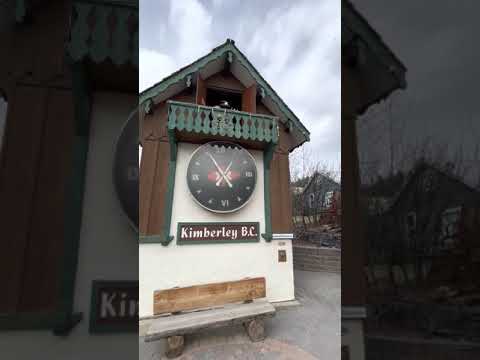 Kimberley's Cuckoo Clock
