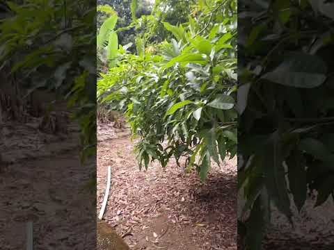 Um lugar pra ser chamado de Seu!