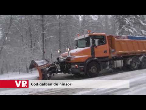 Cod galben de ninsori