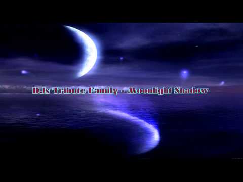 DJs Tribute Family - Moonlight Shadow