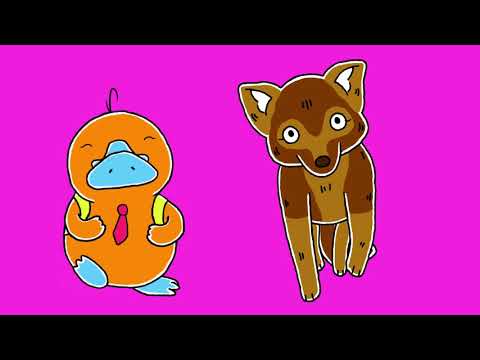 Hola Flinko y el Zorro Chilote