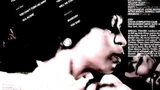 Sylvia Striplin - Will We Ever Pass This Way Again