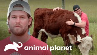 Thumbnail del capítulo