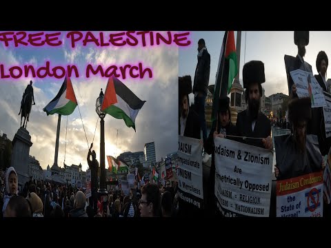 'Free Palestine' London March: Power of One