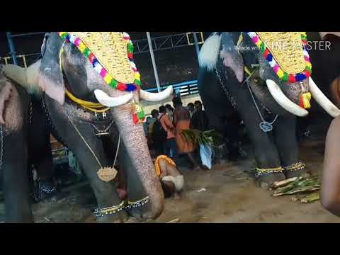 Ulsava sreebali # Thuravoor Temple # Deepavali Festival # DIGI FEST #