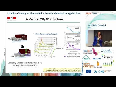 SEPV18: Dr. Giulia Grancini