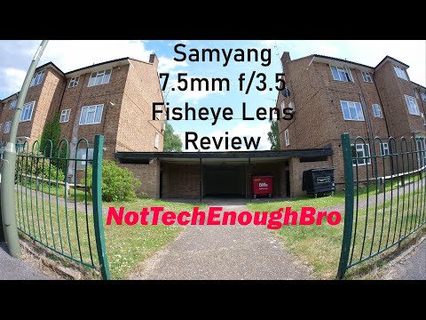 Video thumbnail for Video Review 3