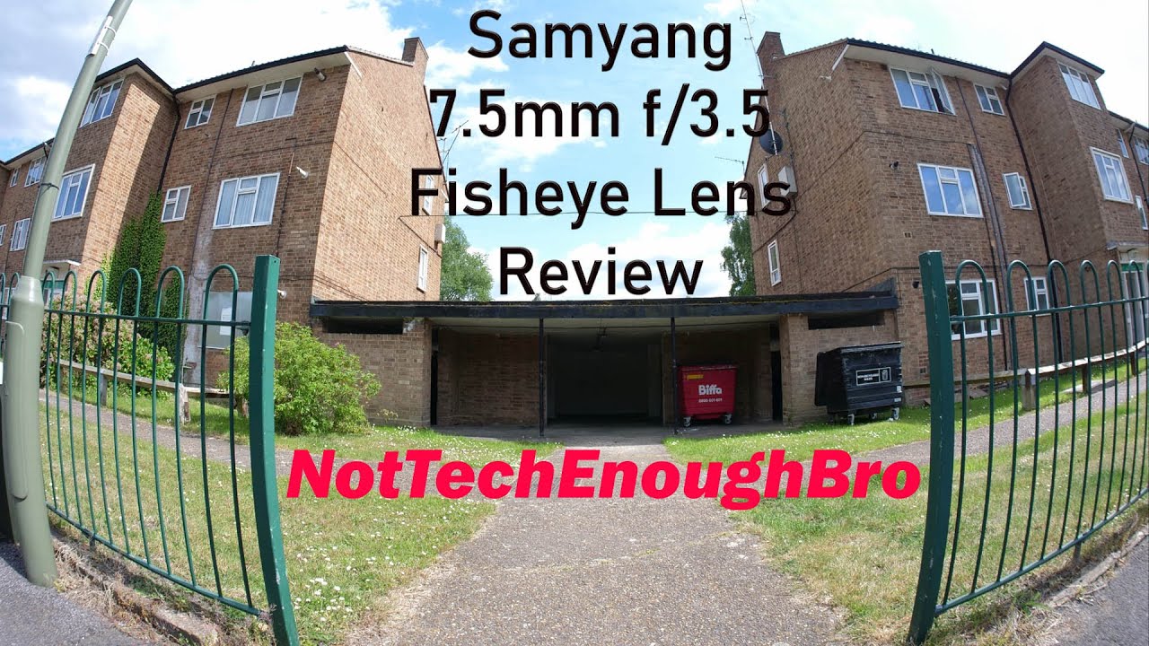 Video thumbnail for Video Review 3