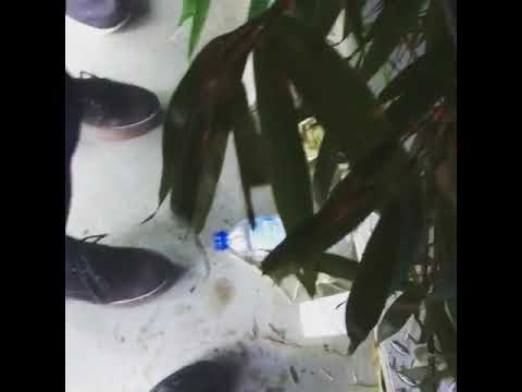 Onur Ozer in the morning @concrete Paris