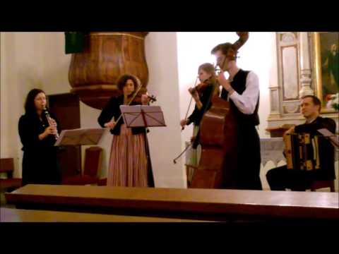 Geigenmusi QuetschFidel:  "Güssinger Arie Nr. I"