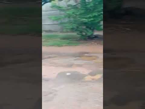 OS BURACOS  NO SETOR SUDOESTE, EM PIRANHAS, EM GOIÁS!