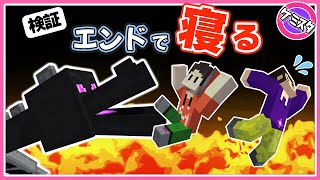 エンド寝ながらエンドラ討伐 検証！【マイクラ統合版】(Switch/PE/Win10/PS4/Xbox対応)