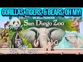 San Diego Zoo Family Trip 2001 Gorillas Tigers Bears On VHS Home Video April 17 2001