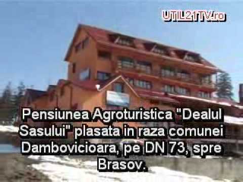 Pensiunea Dealul Sasului Rucar-Brasov