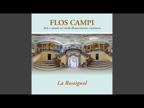 Son pur quei tuoi bei lumi