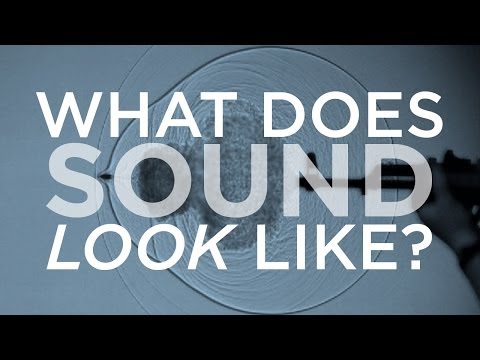 What Does Sound Look Like? | SKUNK BEAR