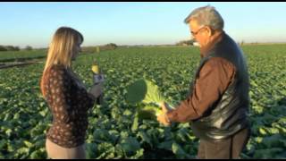 preview picture of video 'AGROSOLution alkalmazása kínai kelen és spárgán - Ternai János, 2012 október'