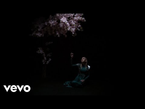 Video thumbnail for Iridescent Wings