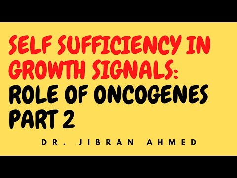 NEOPLASIA II PART 1 II CHAPTER 7 II ROBBINS 10TH EDITION II PATHOLOGY LECTURES II