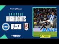 Extended PL Highlights Albion 0 Fulham 1