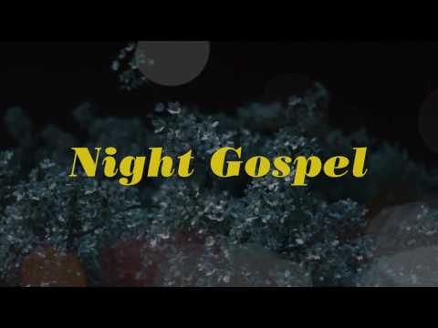 PETE JOSEF - NIGHT GOSPEL (TYPESUN REMIX OFFICIAL VIDEO)