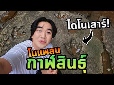 กาฬสินธุ์โนแพลนเจอฟอสซิลเยอะที่สุดในชีวิต!