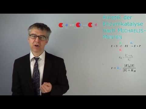 Mechanismus einer Enzymkatalyse nach MICHAELIS-MENTEN -Reaktion wechselt von 0. auf 1. Ordnung PC-53