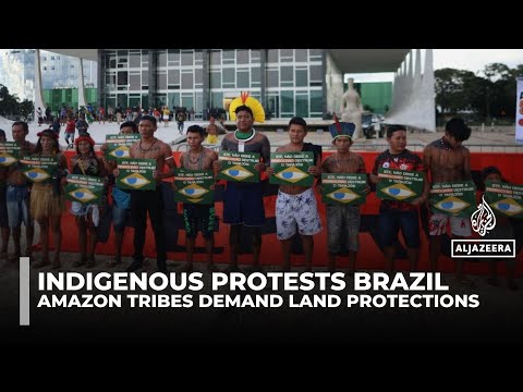 Brazil's Indigenous groups resist railway project threatening Amazon lands