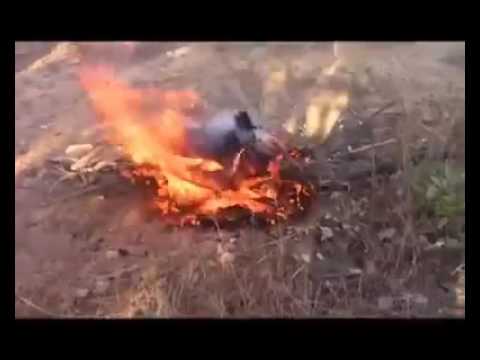 Headman found with a big puff adder in Gokwe, Zimbabwe