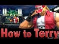 Smash Ultimate How To Terry