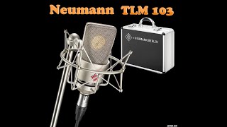 Video thumbnail for Neumann TLM 103  Unbox افضل مايكروفون by Qais Norway