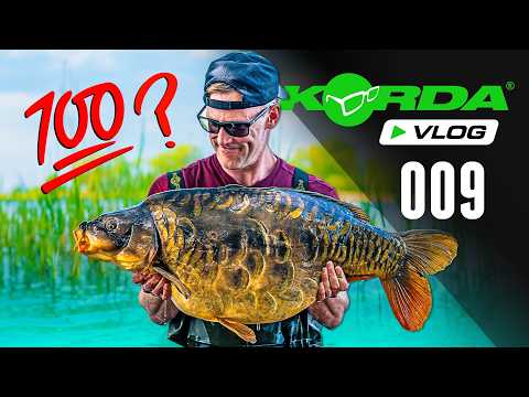 Darrell Peck chases his 100th UK 40lb CARP! | Korda Vlog #009