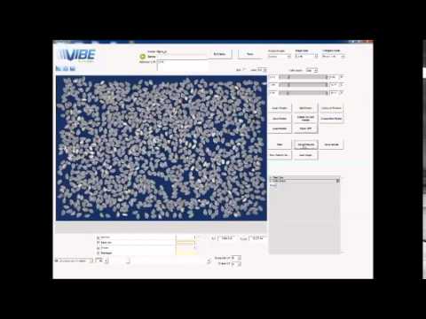 VIBE Qualmaster Video