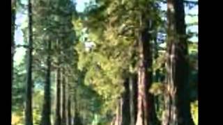 a shadow in your light