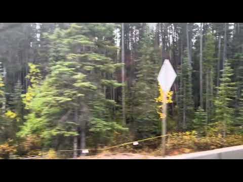 Beautiful Lake Louise 🏔️🌊💦☀️🚤
