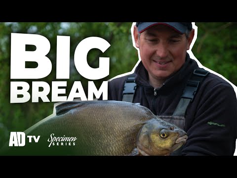 Catching Big Bream - Phil Spinks Specimen Series - Bream Fishing