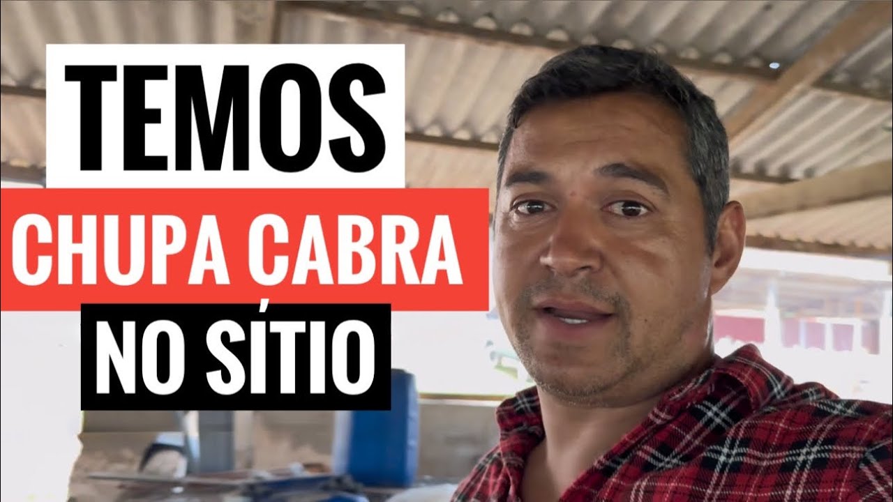 ACONTECEU ALGO MUITO ESTRANHO NO SÍTIO. 😱