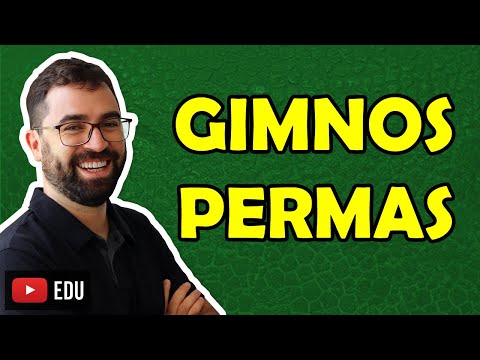Gimnospermas - Aula 04 - Módulo V: Botânica | Prof. Guilherme