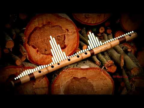 SHRI KRISHNA GOVIND HARE MURARI || Instrumental Ringtone || SR Music Zone 