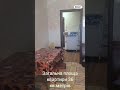 Видео превью
