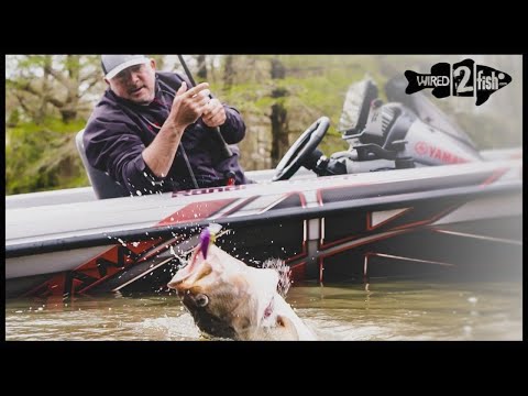 Tips to Simplify Casting Rod Setups for Bass Fishing