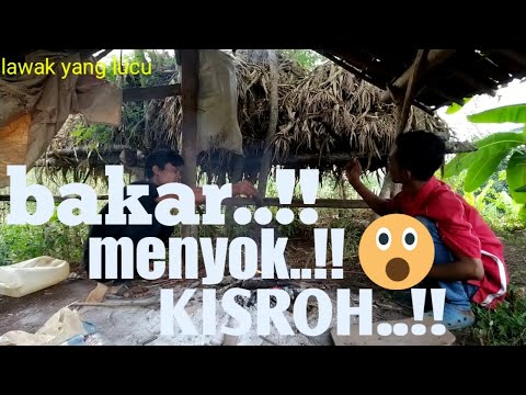 lawak yang lucu || BAKAR MENYOK KISROH || cerita kampung desa