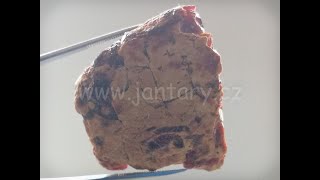   Křídový jantar BC-1