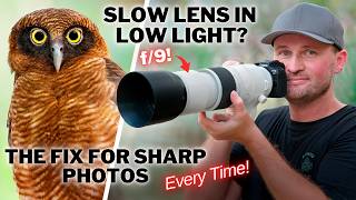 Think You Need f/2.8 for Low Light? Think Again!
