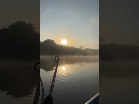 Bora começar o dia! Pesca Rio Ivai - Paraná