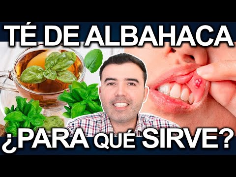 TÉ DE ALBAHACA EN AYUNAS - ¿Para Qué Sirve? - Beneficios De La Albahaca Para Tu Salud Y Belleza