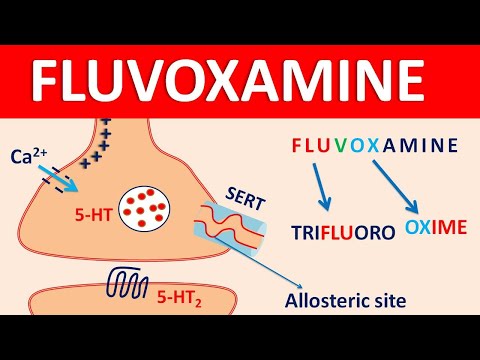 Fluvoxamine 100 Mg