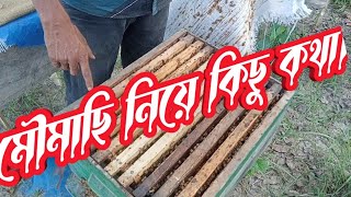 মৌমাছি বিক্রি নিয়ে গুরুত্বপূর্ণ আলোচনা। মৌমাছির দাম।