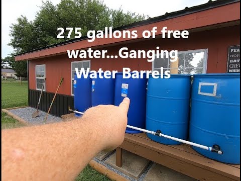Ganging 5 Rain Barrels for HUNDREDS of GALLONS of Free Water