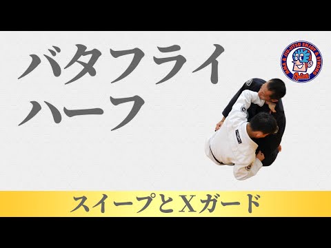 バタフライハーフ　スイープとXガード